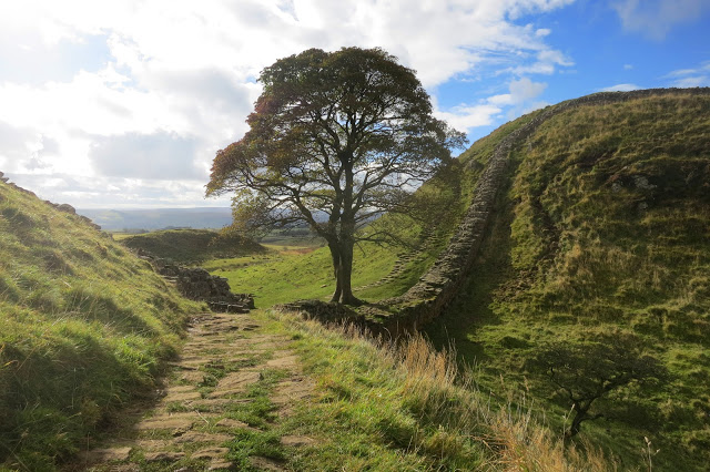 Sycamore Gap